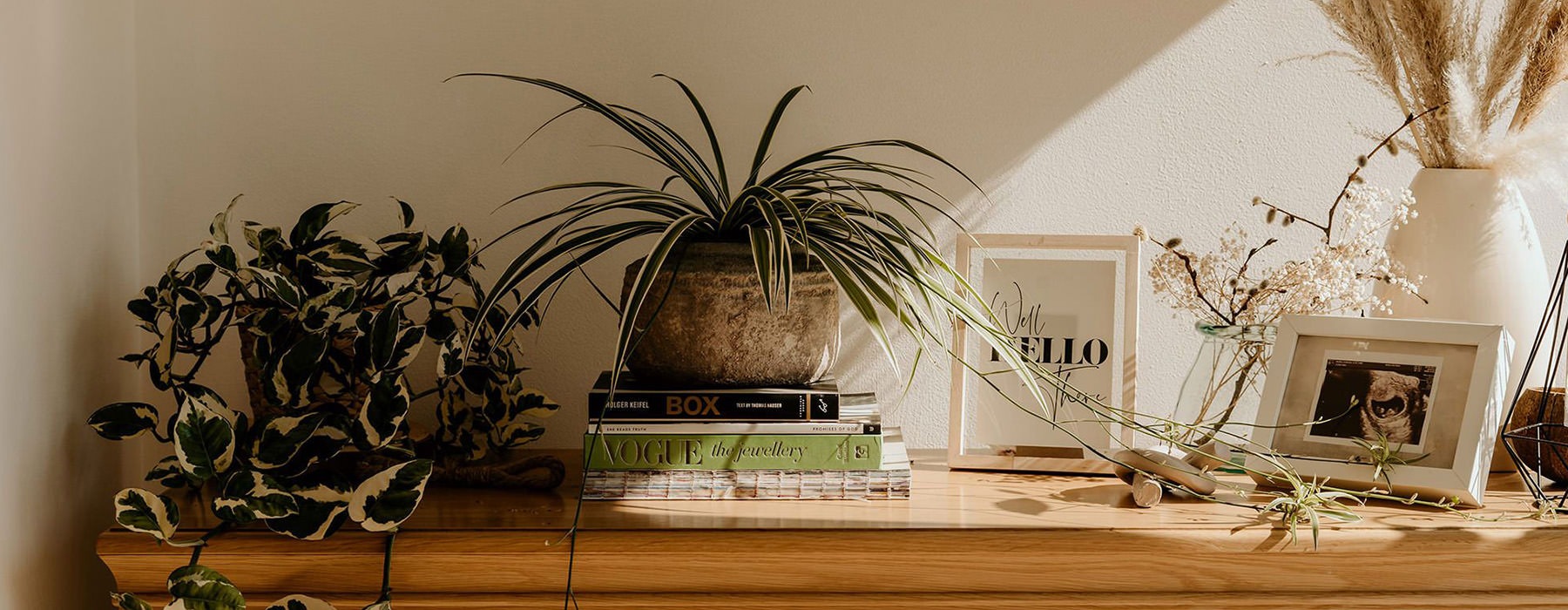 table with books picture frames and plants on it 